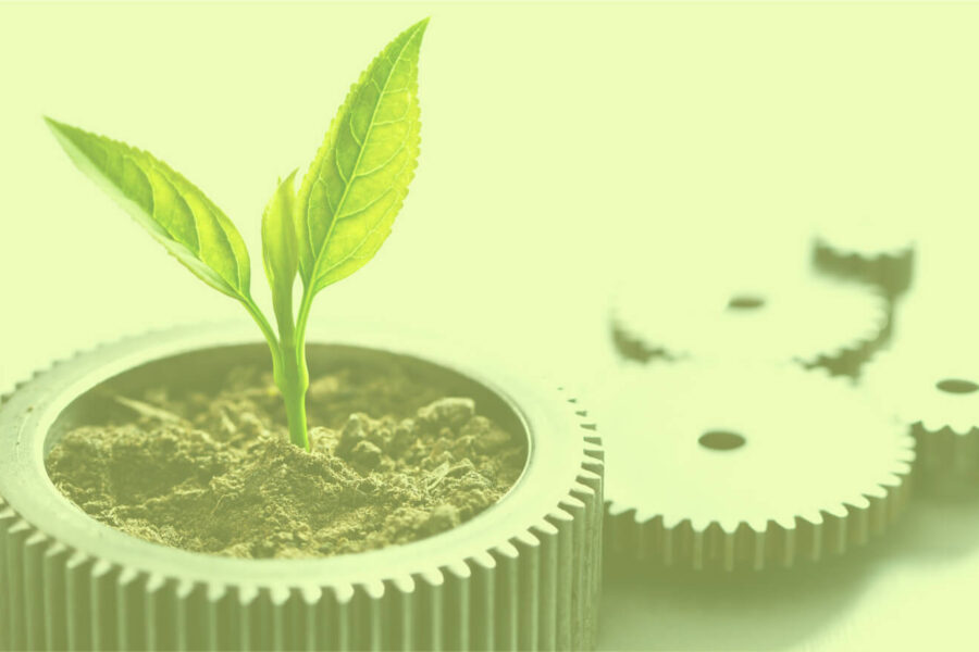 A small plant grows in soil placed inside a metallic gear, with additional gear components in the background.